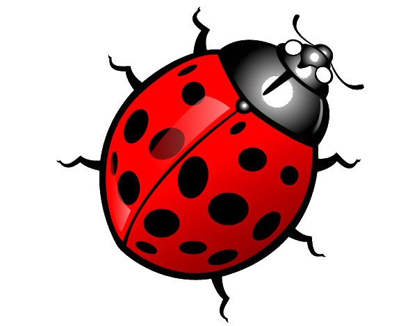 Bugsonline
