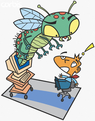 coputer bug